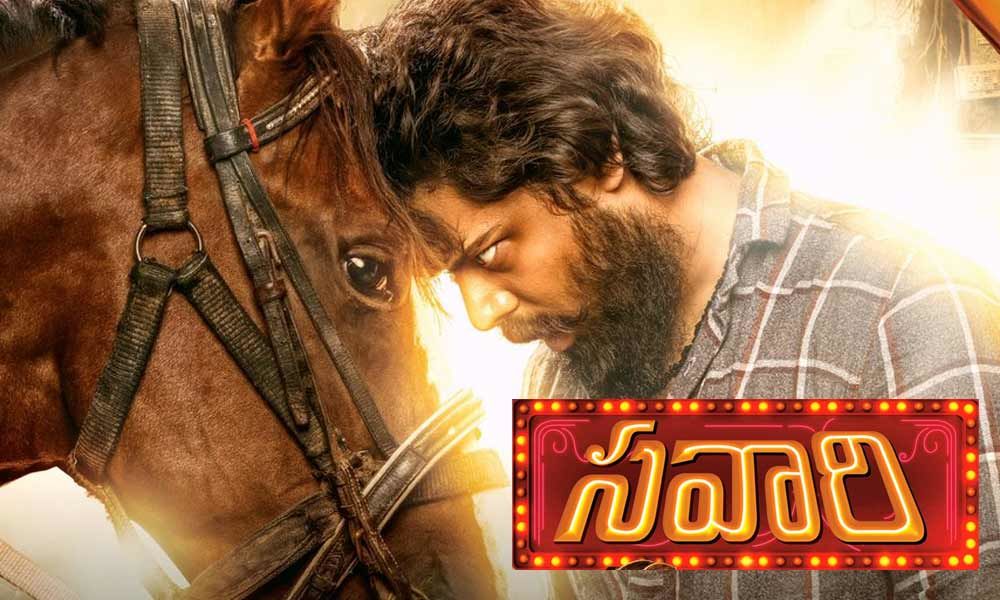 Story of horse who loves his owner very much: Savaari